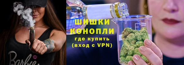 амф Козельск