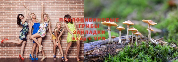 spice Козловка