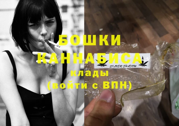 твердый Кодинск