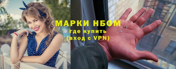 амф Козельск
