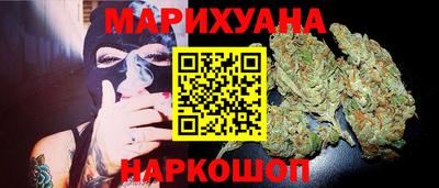 крисы Кингисепп