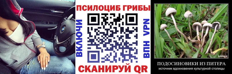 Псилоцибиновые грибы прущие грибы  Дербент 