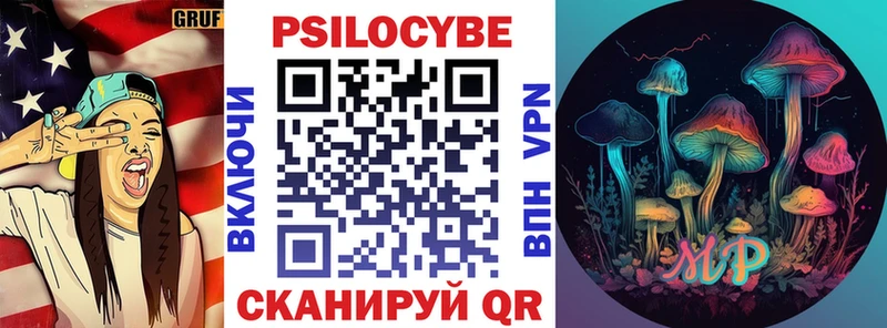 Псилоцибиновые грибы Psilocybe Дербент