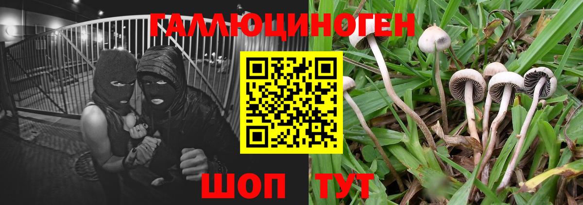 Псилоцибиновые грибы ЛСД Дербент