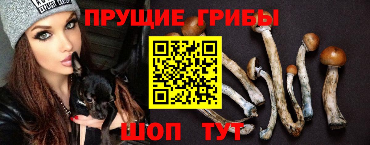 Галлюциногенные грибы ЛСД  Галлюциногенные грибы ЛСД  Вход с VPN  Дербент 